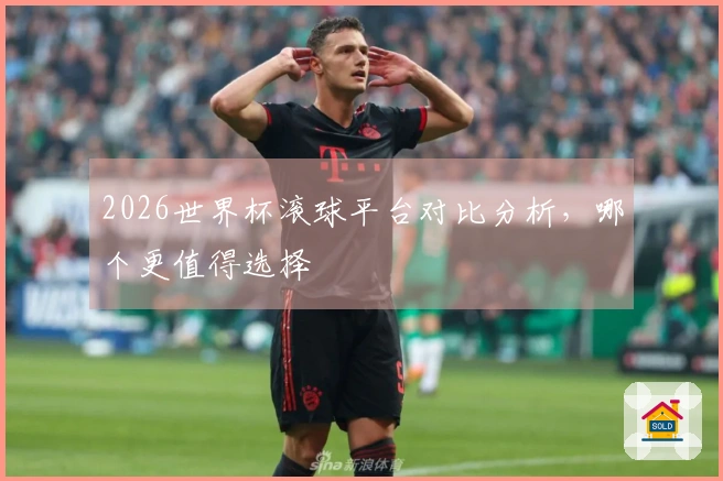 2026世界杯滚球平台对比分析，哪个更值得选择