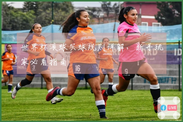 世界杯滚球买球规则详解，新手玩家必看指南