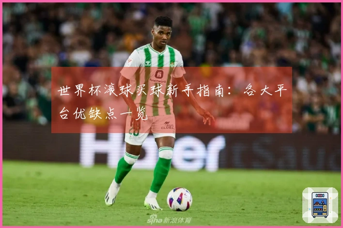 世界杯滚球买球新手指南:各大平台优缺点一览