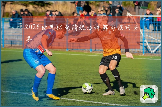 2026世界杯竞猜玩法详解与技巧分享